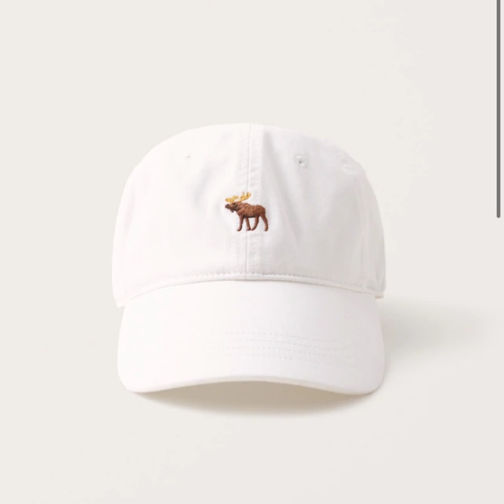 Abercrombie & Fitch Baseball Hat